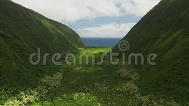我可以看到夏威夷山脉和绿野之间的小而窄的河流，地平线上的海洋